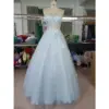 Stunning Baby Blue tulle ball gown on mannequin featuring a sparkling sweetheart neckline with intricate 3D floral lace appliques, embroidered details, and sequined sparkle throughout the full skirt.