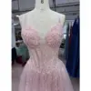 Juliette Tulle Embroidered A-Line Gown - Bodice & Neckline Detail